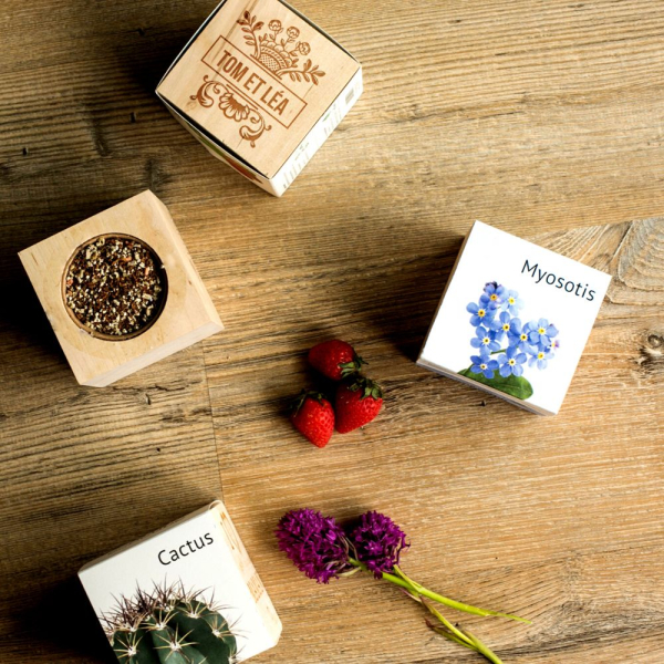 Ecocube nome inciso Ecocube nome inciso