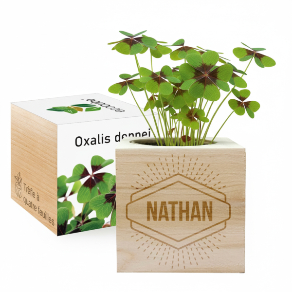 Ecocube nome inciso Ecocube nome inciso