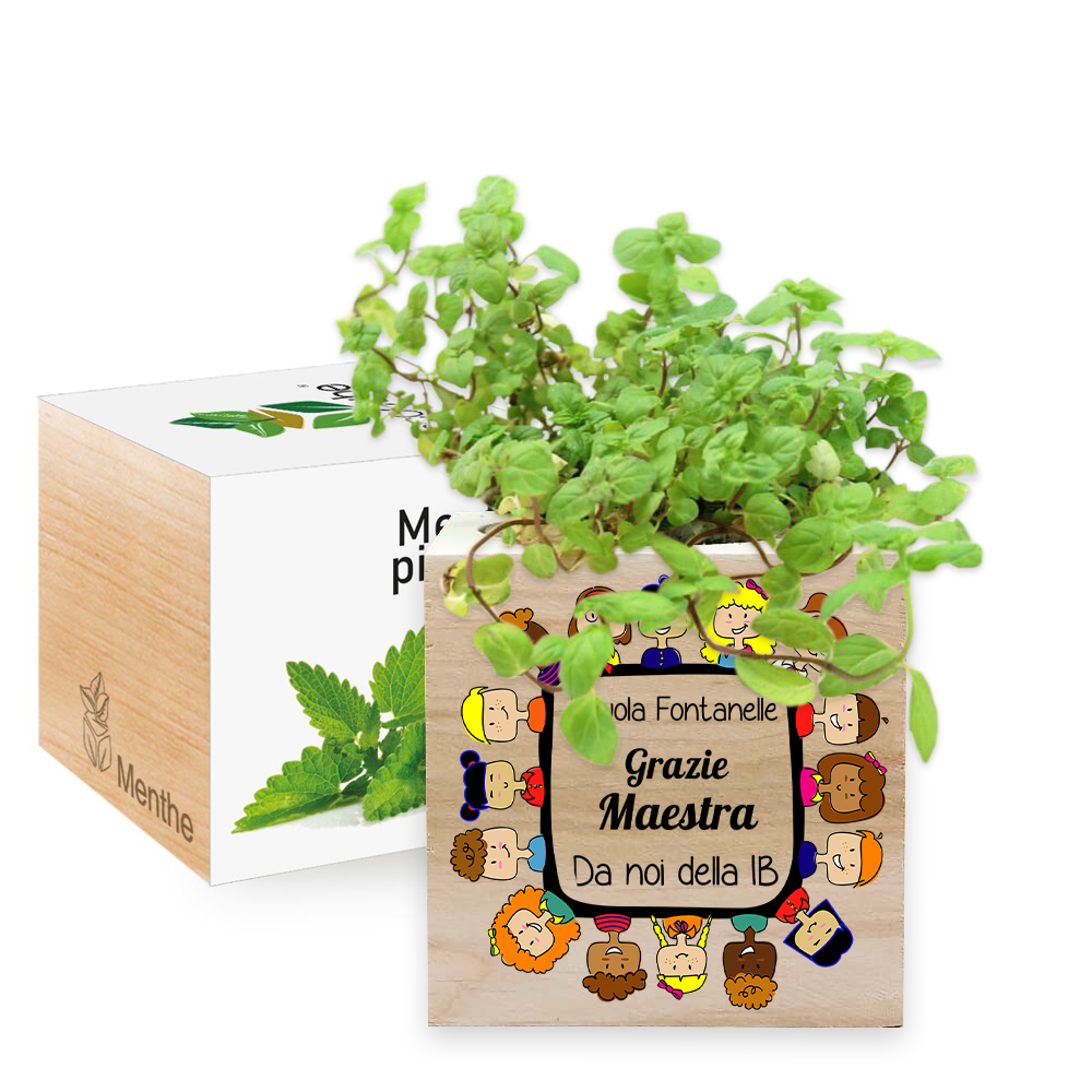 EcoCube personalizzato 