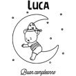 Orso sulla luna