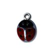 Coccinella