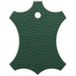 Foresta