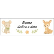 Nome e dedica