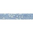 bianco e azzurro