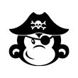 Scimmia pirata