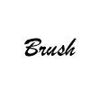 Brush