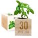 Ecocube compleanno