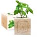 Ecocube personalizzato cornice fiorita