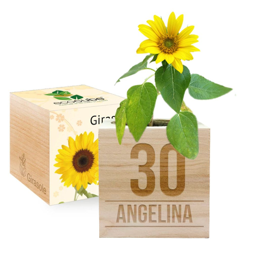 Ecocube compleanno girasole