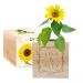 Ecocube personalizzato cornice fiorita girasole