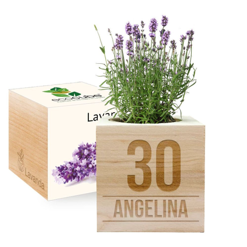 Ecocube compleanno lavanda