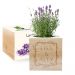 Ecocube personalizzato cornice fiorita lavanda