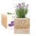 EcoCube personalizzato Mamma