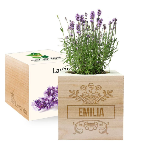 Ecocube nome inciso lavanda