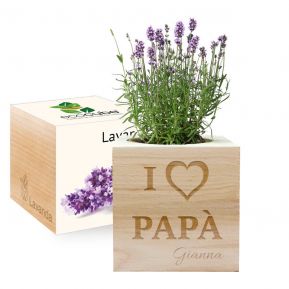 EcoCube personalizzato Papà