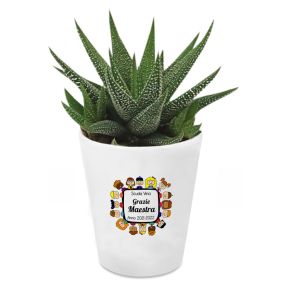 Pianta grassa con vaso personalizzato Grazie Maestra Pianta grassa con vaso personalizzato Grazie Maestra