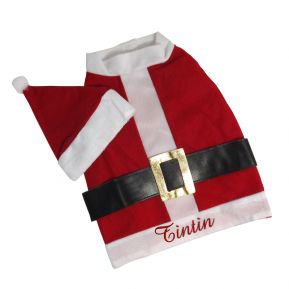 Costume da babbo Natale per cani e gatti