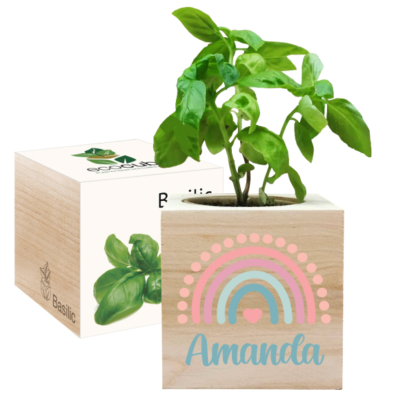 Ecocube personalizzato arcobaleno colorato