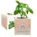 Ecocube personalizzato arcobaleno colorato
