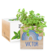 Ecocube personalizzato arcobaleno