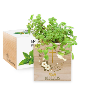 Ecocube personalizzato colomba battesimo o comunione Ecocube personalizzato colomba battesimo o comunione