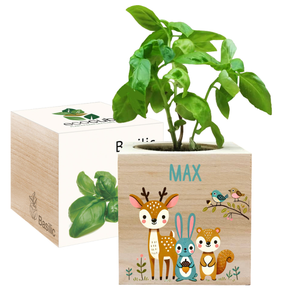 Ecocube personalizzato bosco incantato colorato