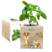 Ecocube personalizzato bosco incantato colorato