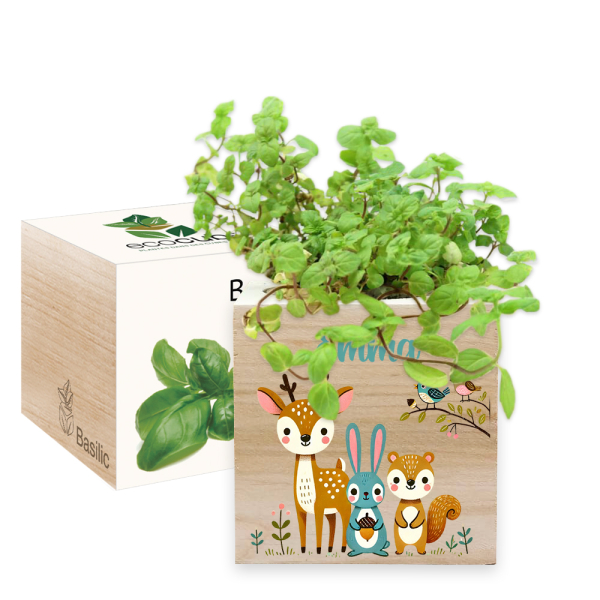 Ecocube personalizzato bosco incantato