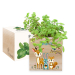 Ecocube personalizzato bosco incantato