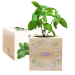 Ecocube personalizzato bucolico colorato