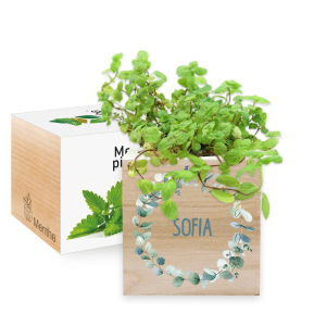Ecocube personalizzato bucolico Ecocube personalizzato bucolico
