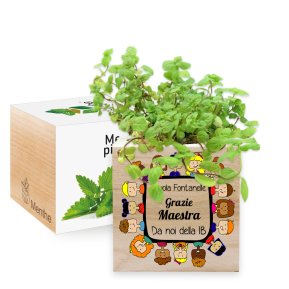 Ecocube Grazie Maestra con stampa a colori Ecocube Grazie Maestra con stampa a colori