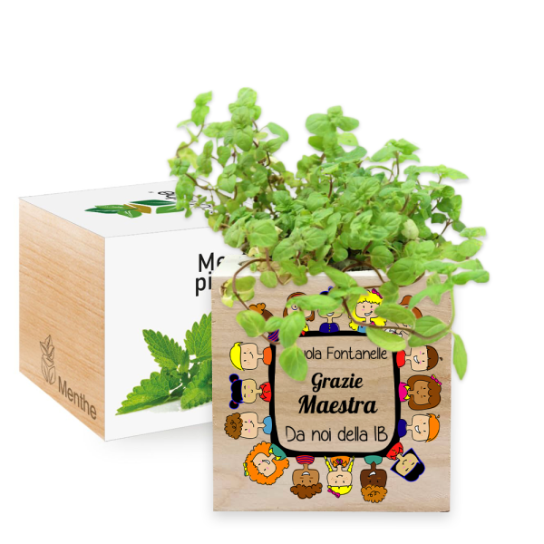 Ecocube colorato grazie maestra
