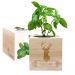 Ecocube personalizzato cervo