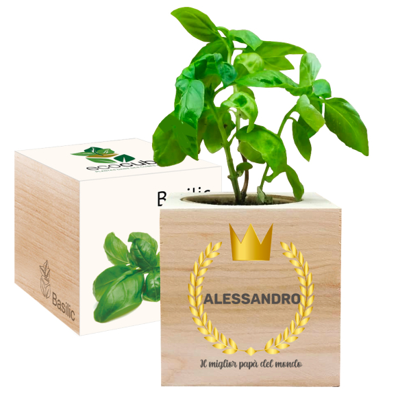 Ecocube personalizzato festa del papà