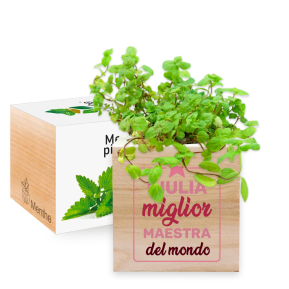 Ecocube migliore maestra del mondo Ecocube migliore maestra del mondo