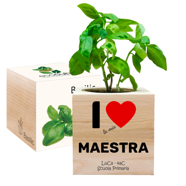 Pianta con design colorato regalo insegnanti