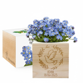 EcoCube personalizzato colomba battesimo