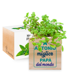 Ecocube personalizzato colorato festa del papà Ecocube personalizzato colorato festa del papà