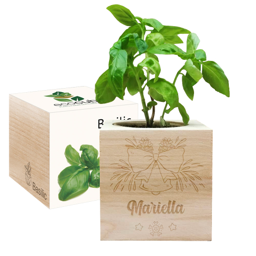 Ecocube natalizio personalizzabile