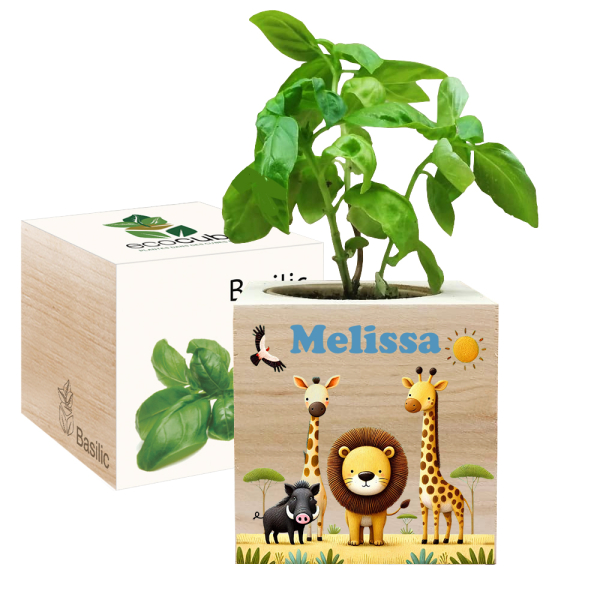 Ecocube personalizzato safari colorato