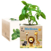 Ecocube personalizzato safari colorato