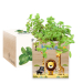 Ecocube personalizzato safari
