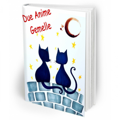 Due anime gemelle