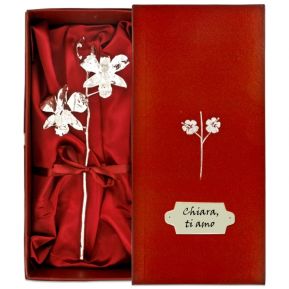Orchidea d'argento Orchidea d'argento