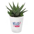 Pianta grassa con vaso personalizzato HELLO