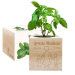 Ecocube personalizzato tata 
