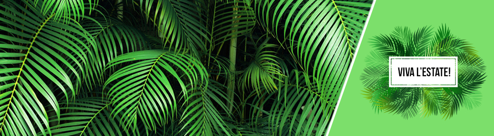 Palme