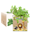 Ecocube personalizzato safari