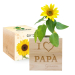 EcoCube personalizzati papà